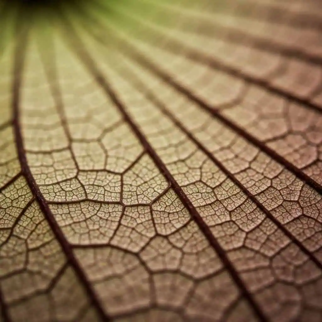 Biomimikra: jak natura inspiruje innowacje biznesowe