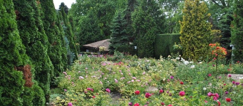 Jak przygotować się do odwiertu na działce? Prace krok po kroku
